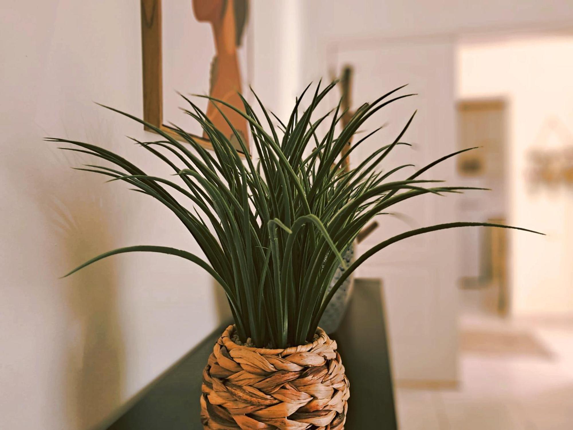Apartamento Oasis Parque 2 Portimão Eksteriør billede